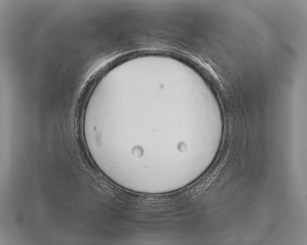 X0000115761311200912111037