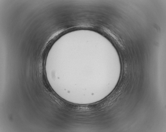 X0000115761315200912111037