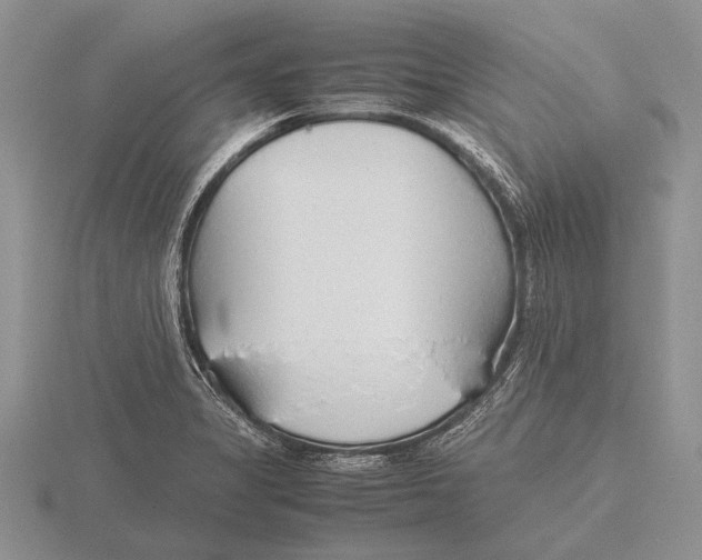 X0000115761325200912111037