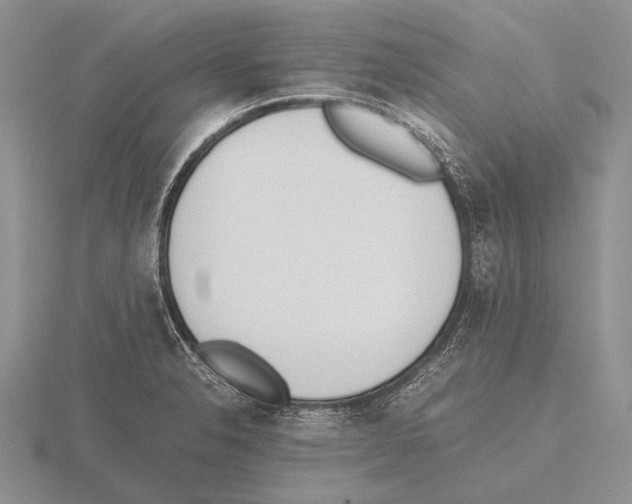 X0000115761326200912111038