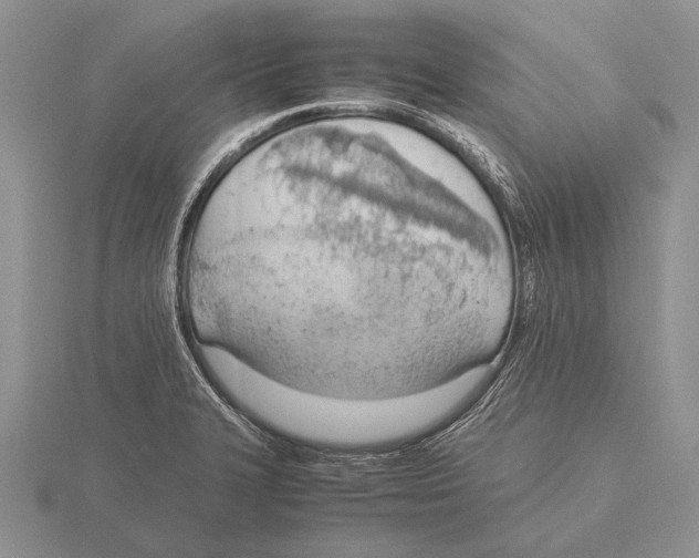 X0000115761327200912111038