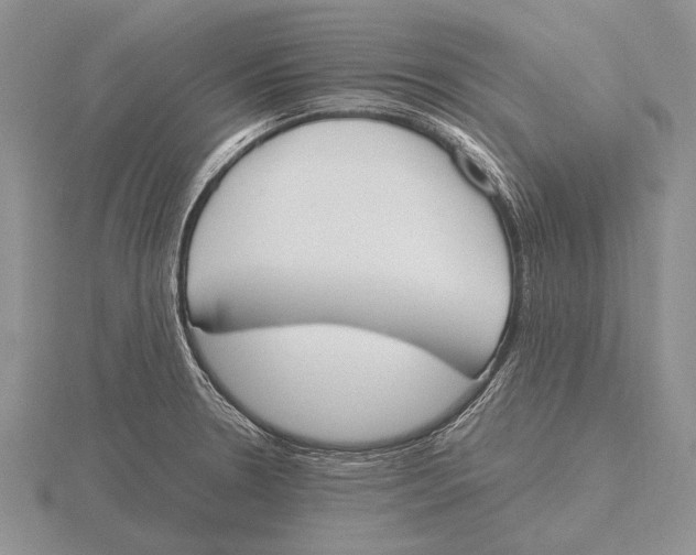 X0000115761330200912111038