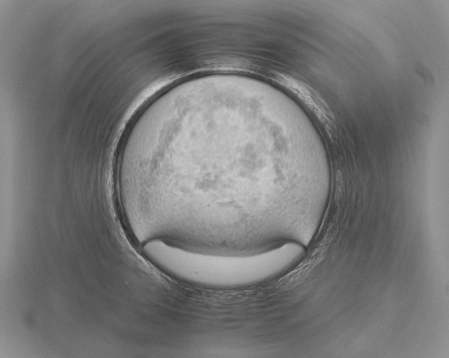 X0000115761331200912111038