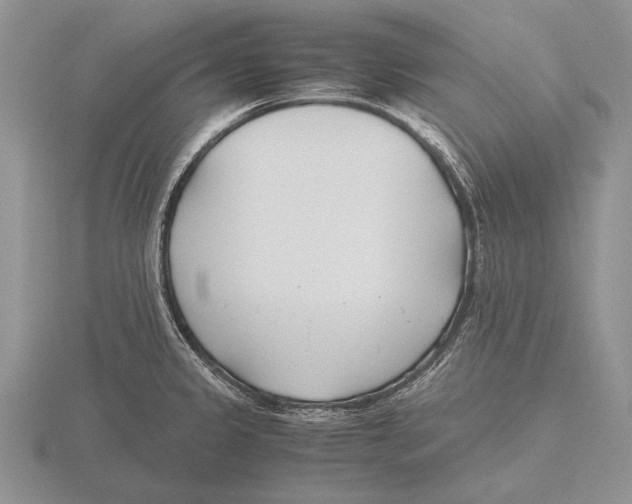 X0000115761333200912111038