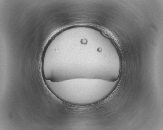 X0000115761334200912111038