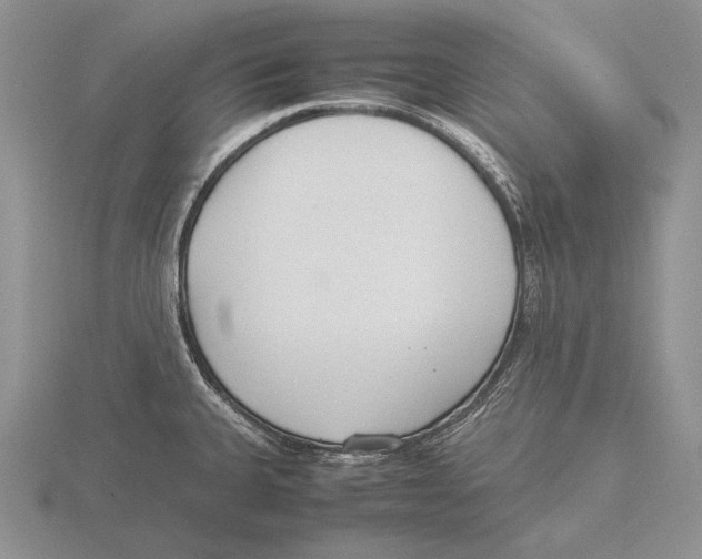 X0000115761335200912111038