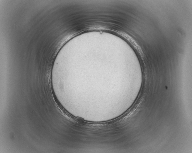 X0000115761337200912111038