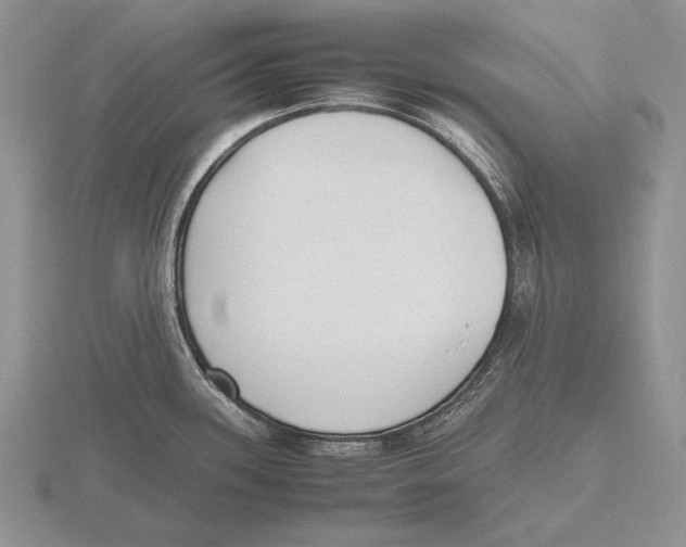 X0000115761339200912111038