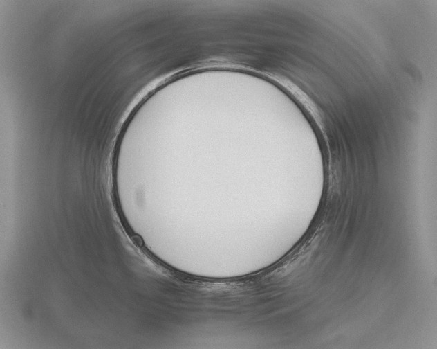 X0000115761341200912111038