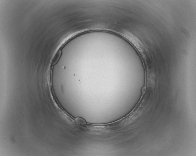 X0000115761342200912111038