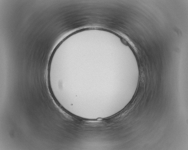 X0000115761343200912111038