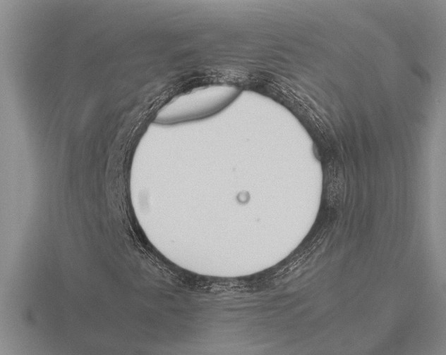 X0000115761345200912111037