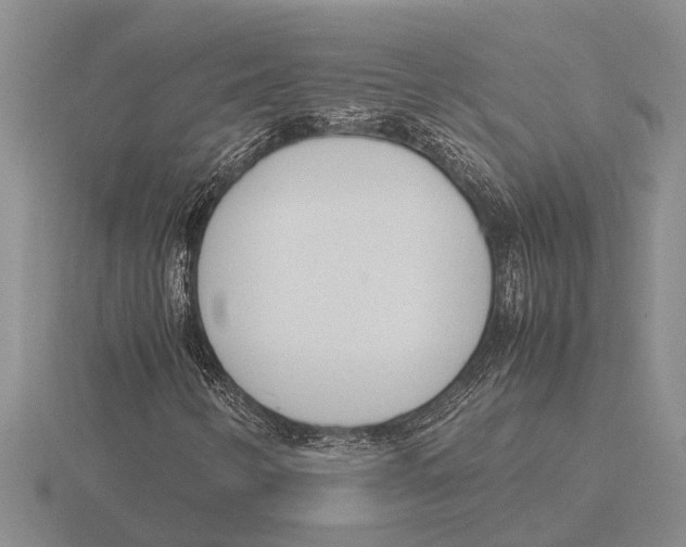 X0000115761346200912111037