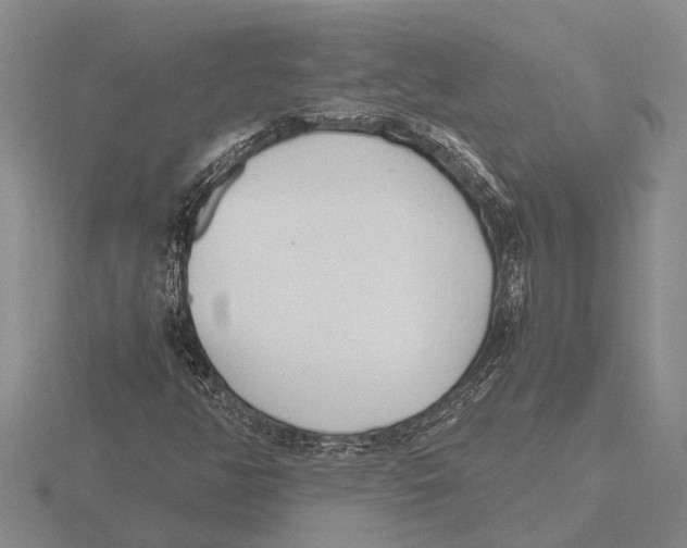 X0000115761350200912111037