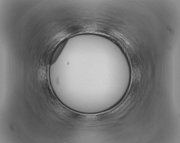 X0000115761353200912111037