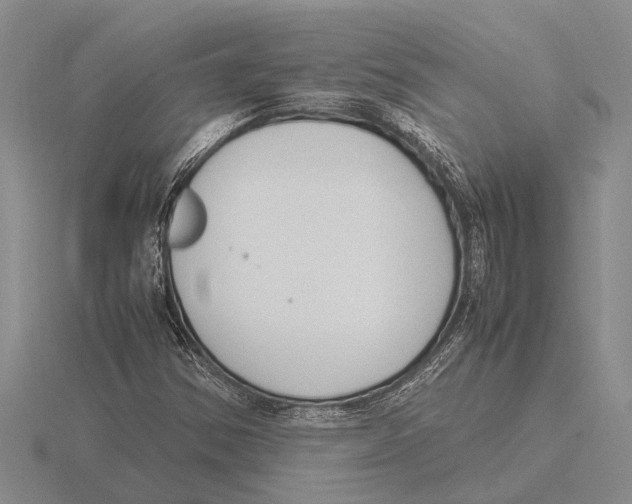 X0000115761354200912111037