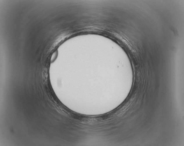 X0000115761355200912111037