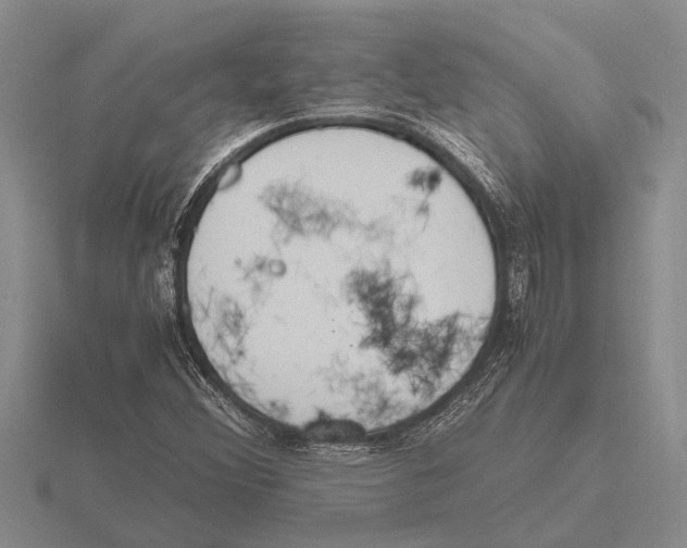 X0000115761356200912111037