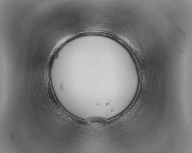 X0000115761358200912111037