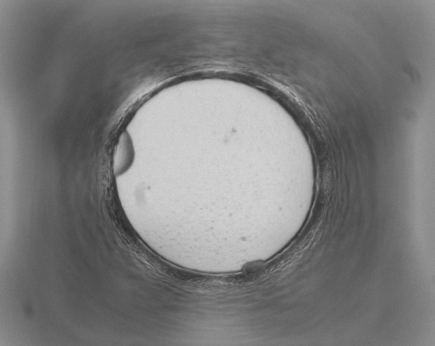 X0000115761359200912111037