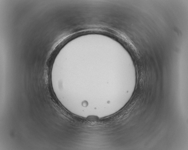 X0000115761360200912111037