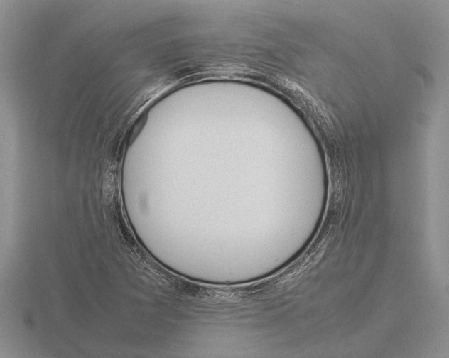 X0000115761361200912111037