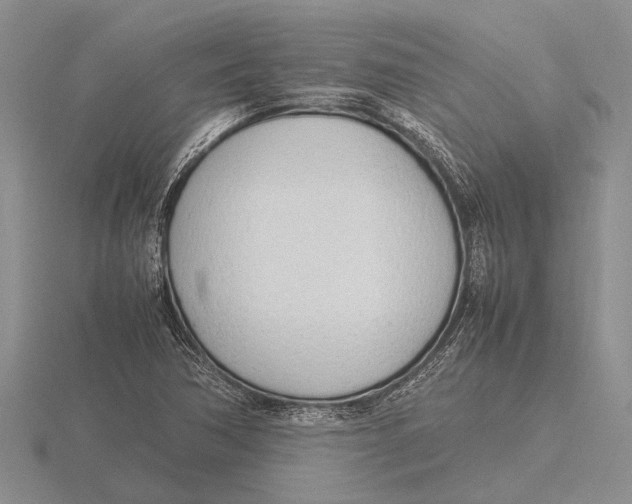 X0000115761362200912111037