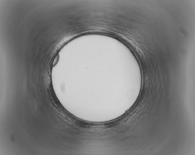 X0000115761363200912111037