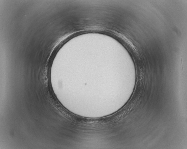 X0000115761364200912111037