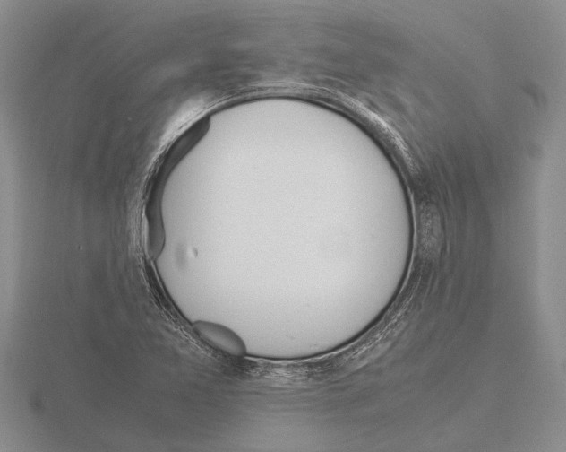 X0000115761365200912111037