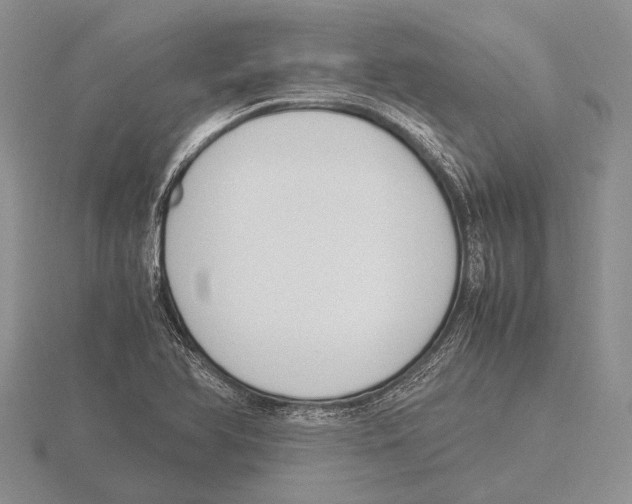 X0000115761366200912111037