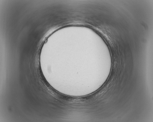 X0000115761367200912111037