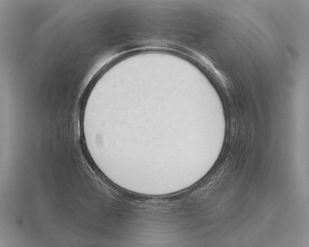 X0000115761368200912111037