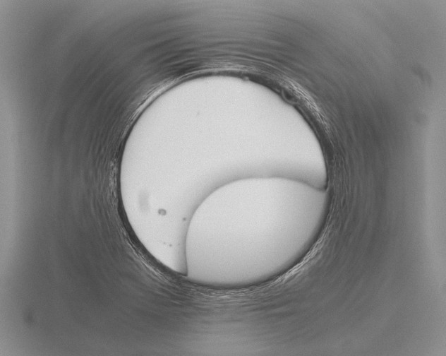 X0000115761369200912111037