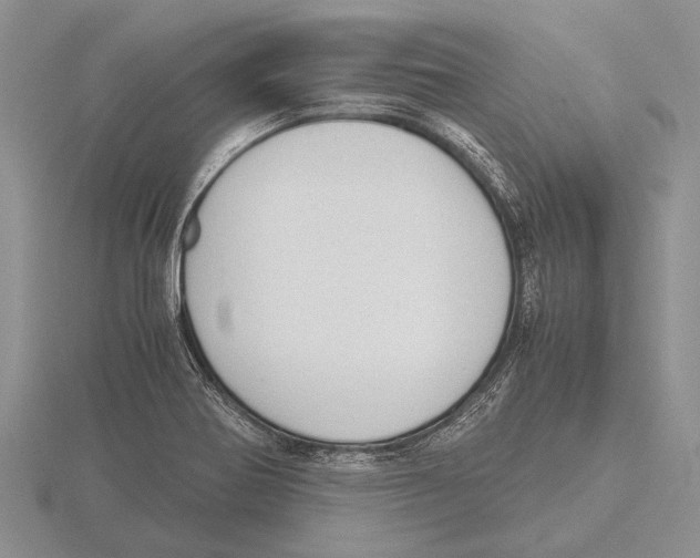 X0000115761370200912111037