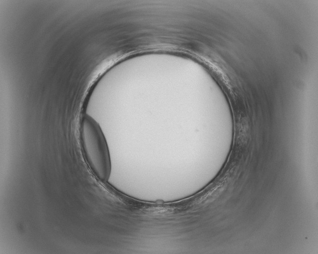 X0000115761373200912111037