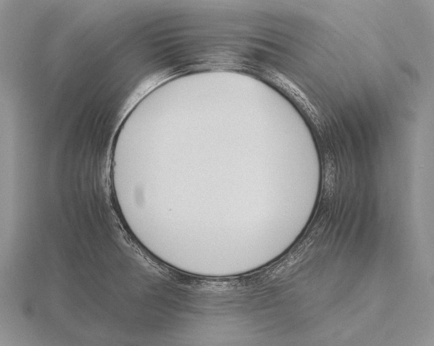 X0000115761378200912111037