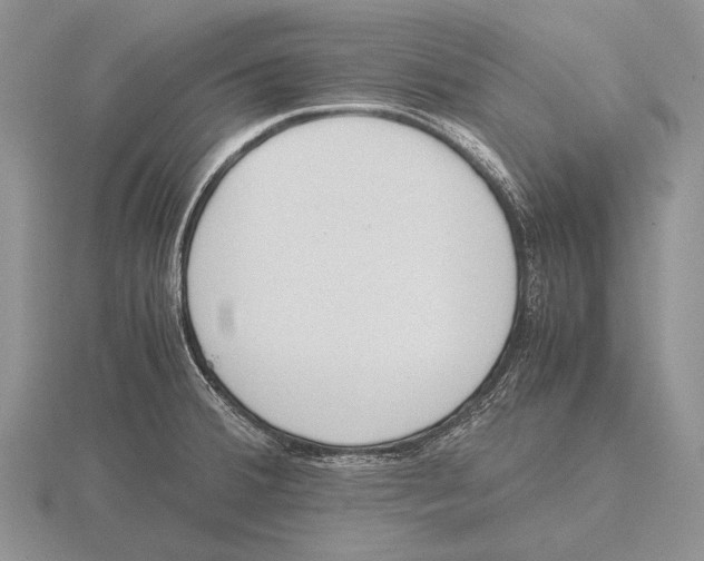 X0000115761380200912111037