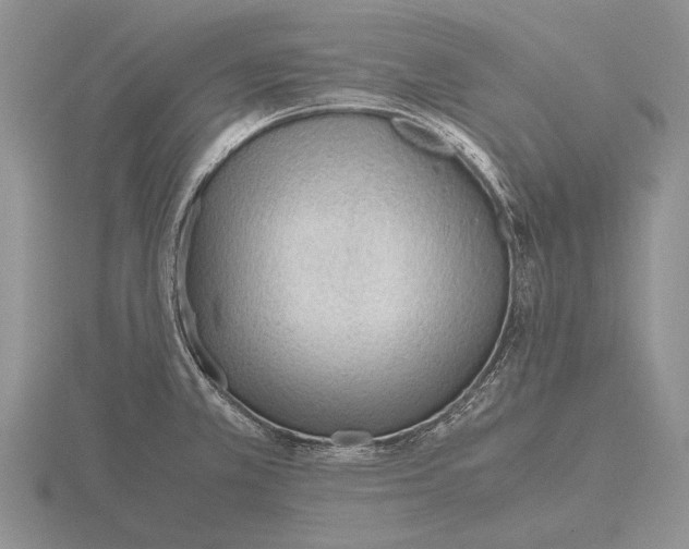 X0000115761381200912111037