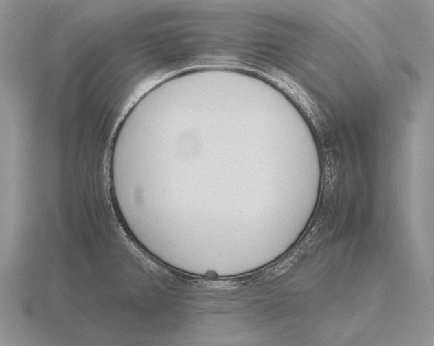 X0000115761382200912111037