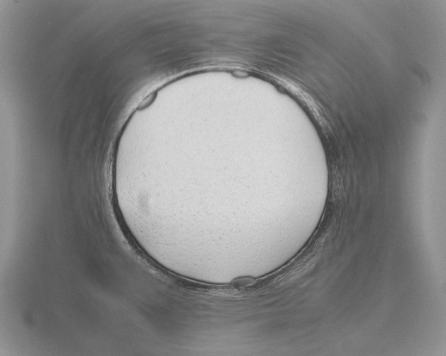 X0000115761383200912111037