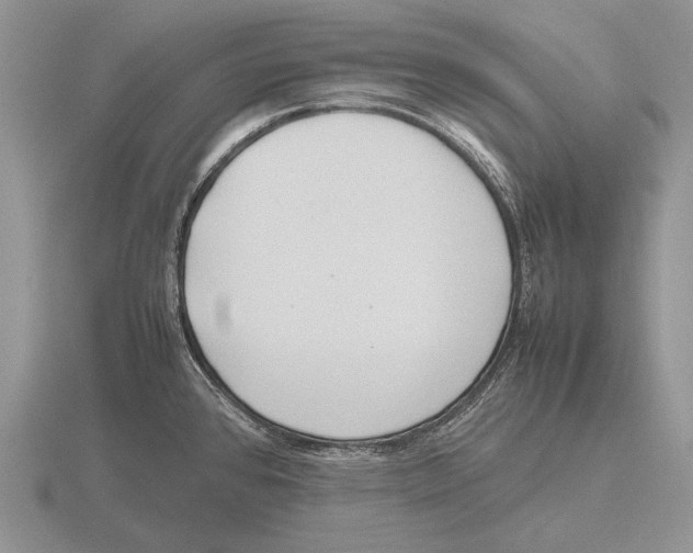 X0000115761384200912111037