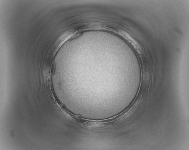 X0000115761385200912111037