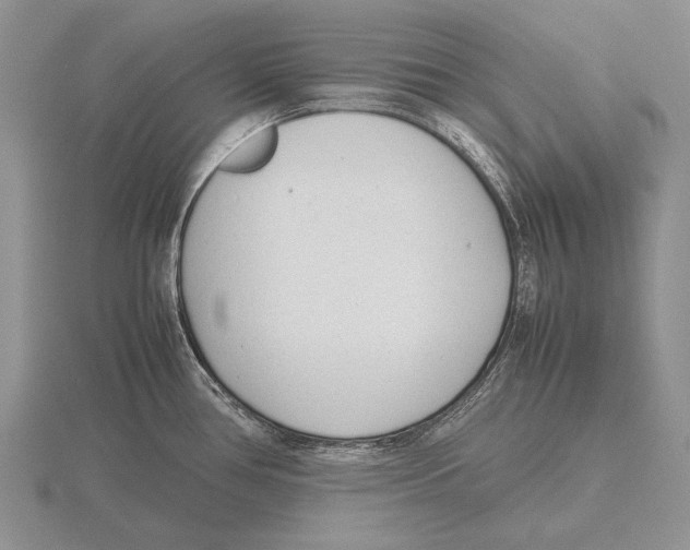 X0000115761386200912111037