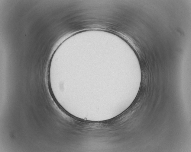 X0000115761387200912111037