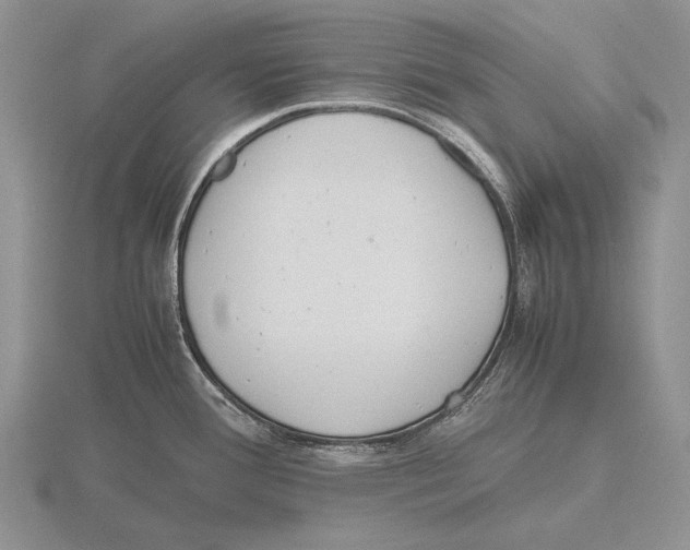 X0000115761388200912111037