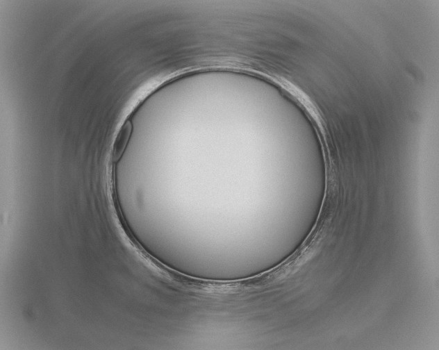 X0000115761389200912111037