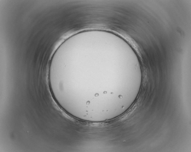 X0000115761390200912111037