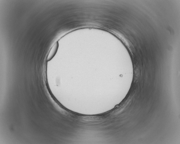 X0000115761391200912111037