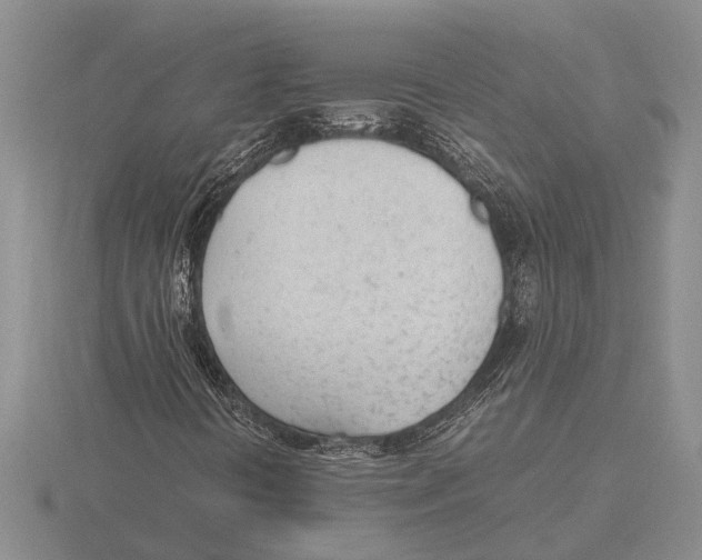 X0000115761394200912111036